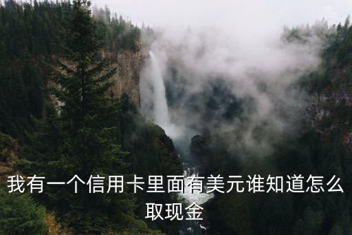信用卡美金怎么取現(xiàn)在中國，有大量美金存入國內(nèi)銀行怎樣取出來