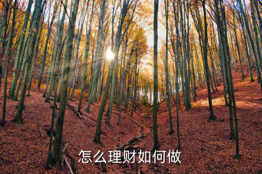 怎么理財(cái)如何做