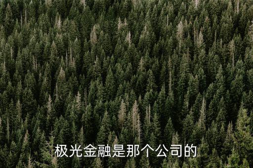 極光融平臺怎么了，極光金融是那個公司的