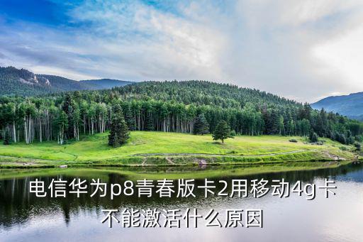 電信華為p8青春版卡2用移動(dòng)4g卡不能激活什么原因
