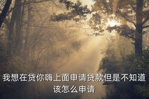 貸你嗨審核怎么審核的，我想在貸你嗨上面申請貸款但是不知道該怎么申請