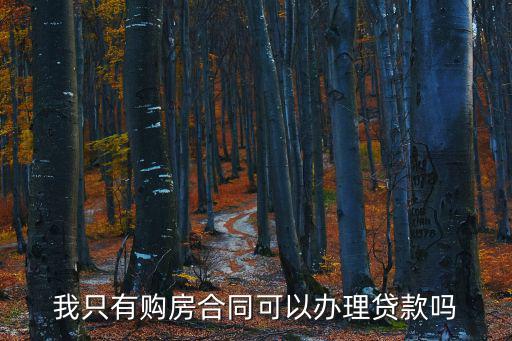 只有住房合同怎么貸款嗎，只有購(gòu)房合同可以貸款嗎