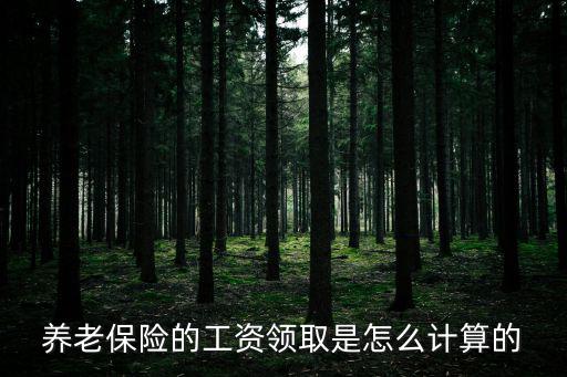 養(yǎng)老金領(lǐng)取金額怎么算的，養(yǎng)老保險(xiǎn)的工資領(lǐng)取是怎么計(jì)算的