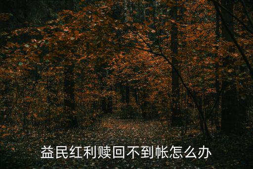 益民紅利贖回不到帳怎么辦