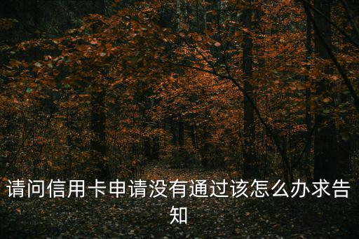 請(qǐng)問信用卡申請(qǐng)沒有通過該怎么辦求告知