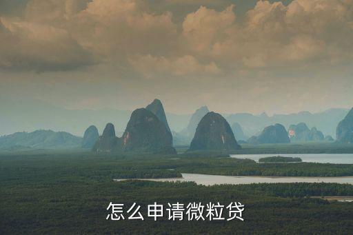 怎么搞微粒貸，怎么申請(qǐng)微粒貸