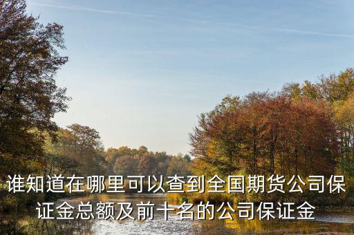 誰知道在哪里可以查到全國期貨公司保證金總額及前十名的公司保證金