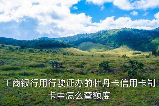 工商銀行用行駛證辦的牡丹卡信用卡制卡中怎么查額度