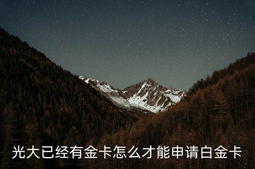 光大已經(jīng)有金卡怎么才能申請白金卡