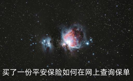 買(mǎi)了一份平安保險(xiǎn)如何在網(wǎng)上查詢(xún)保單
