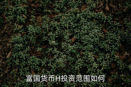 國(guó)富貨幣怎么樣，想用兩萬(wàn)購(gòu)買(mǎi)國(guó)富天時(shí)貨幣A這個(gè)風(fēng)險(xiǎn)大嗎會(huì)虧損本金嗎