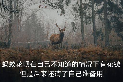 螞蟻花唄在自己不知道的情況下有花錢但是后來還清了自己準備用