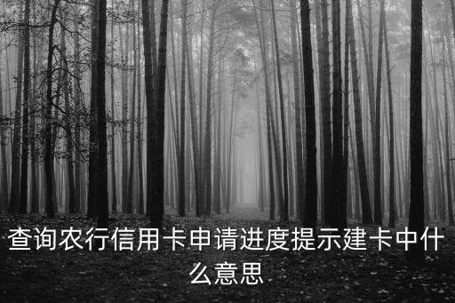 怎么查農(nóng)行有沒(méi)有建檔，查詢農(nóng)行信用卡申請(qǐng)進(jìn)度提示建卡中什么意思