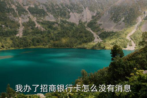 怎么招行被拒短信都沒，招行網(wǎng)上買怎么沒有短信提示