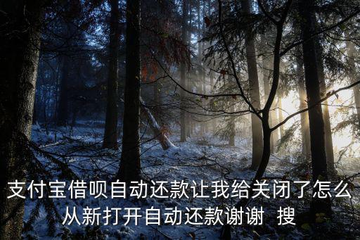 怎么把借唄的自動(dòng)還款，借唄自動(dòng)還款怎么關(guān)
