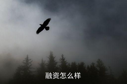 融資怎么樣