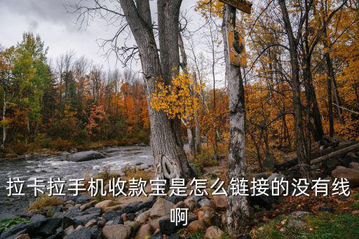 拉卡拉收款寶怎么入網(wǎng)，拉卡拉手機(jī)收款寶是怎么鏈接的沒有線啊