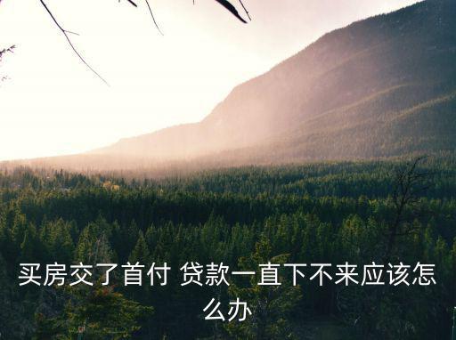 房貸老是不下來怎么辦，買房交了首付 貸款一直下不來應(yīng)該怎么辦