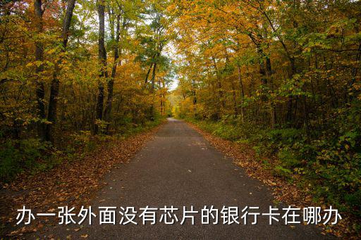 建行非ic卡怎么辦理，辦一張外面沒有芯片的銀行卡在哪辦