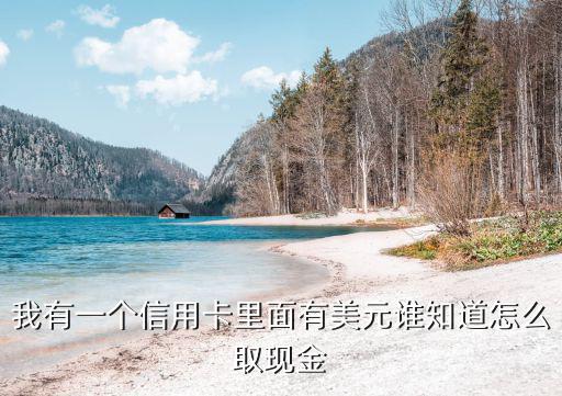 行用卡怎么取美元，信用卡如何花美元