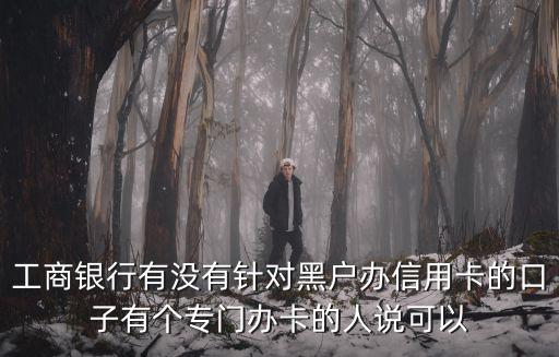 工商銀行有沒有針對黑戶辦信用卡的口子有個(gè)專門辦卡的人說可以