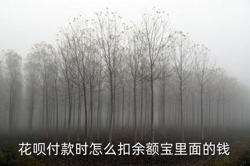 花唄里買東西怎么扣錢嗎，淘寶購物用花唄買東西下個月還款的時候要扣手續(xù)費的嗎