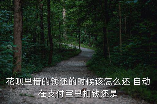 花唄里借的錢還的時(shí)候該怎么還 自動(dòng)在支付寶里扣錢還是