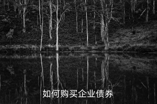 企業(yè)債見是怎么買的，如何購買企業(yè)的債券
