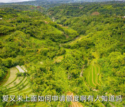 愛又米上面如何申請額度啊有人知道嗎