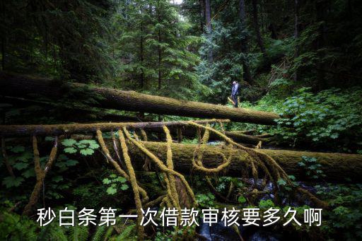 秒白條第一次借款審核要多久啊