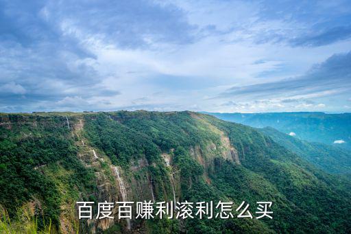 百度百賺利滾利怎么買