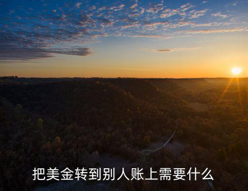 美元不同賬戶怎么轉(zhuǎn)賬手續(xù)費(fèi)嗎，中國銀行同行同城美金轉(zhuǎn)賬的話收不收手續(xù)費(fèi)呢