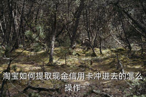 淘寶如何提取現(xiàn)金信用卡沖進去的怎么操作