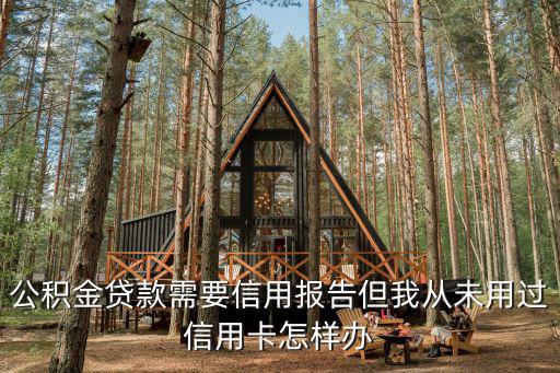 公積金貸款的征信記錄怎么辦理信用卡，公積金貸款要的征信怎么辦理