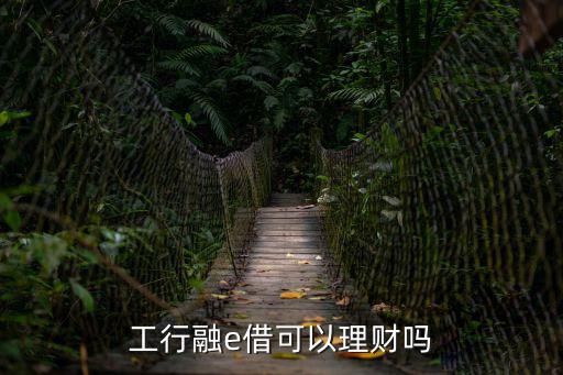 工行融e借可以理財(cái)嗎
