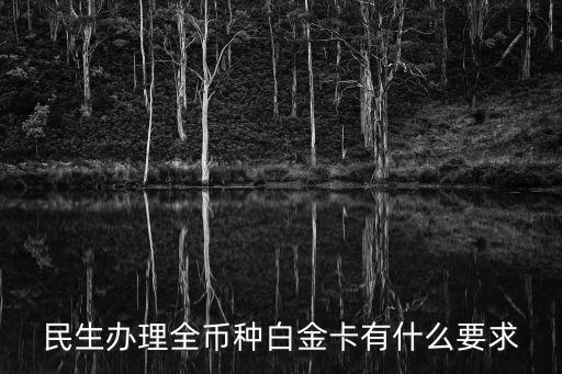 民生辦理全幣種白金卡有什么要求
