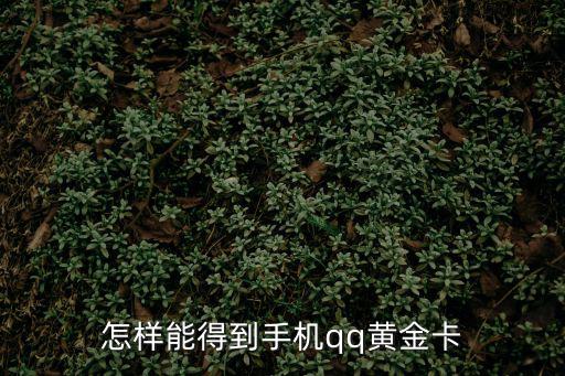 怎樣能得到手機(jī)qq黃金卡