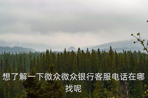 想了解一下微眾微眾銀行客服電話在哪找呢
