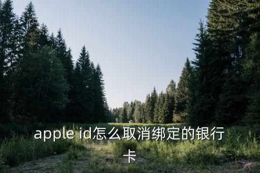 apple id怎么取消綁定的銀行卡