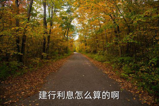建行利息怎么算的啊