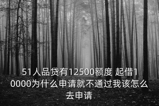 51人品貸有12500額度 起借10000為什么申請就不通過我該怎么去申請