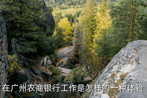 廣州農(nóng)商怎么樣，在廣州農(nóng)商銀行工作是怎樣的一種體驗(yàn)
