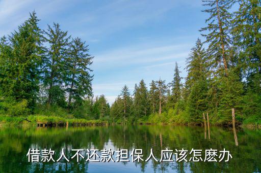 借款人不還款擔(dān)保人應(yīng)該怎麼辦