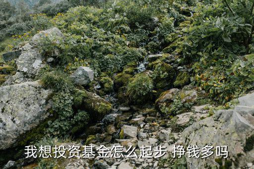 買投資基金怎么賺錢嗎，我想投資基金怎么起步 掙錢多嗎