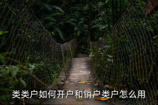 類(lèi)類(lèi)戶(hù)如何開(kāi)戶(hù)和銷(xiāo)戶(hù)類(lèi)戶(hù)怎么用