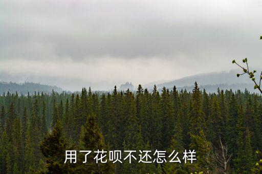 用了花唄不還怎么樣
