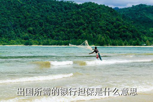 出國所需的銀行擔保是什么意思