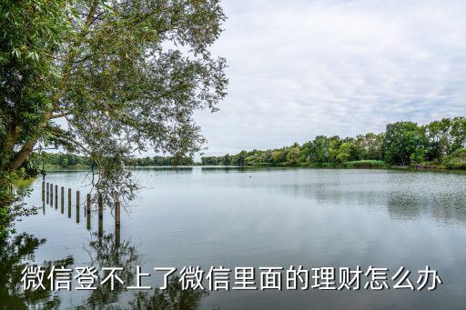 微信理財(cái)通官網(wǎng)登錄不了怎么辦，沒(méi)法登陸微信理財(cái)通頁(yè)面怎樣辦