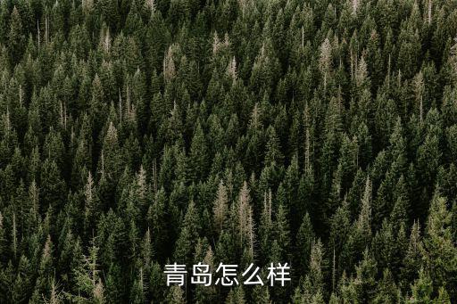 青島愛(ài)本地怎么樣，請(qǐng)幫忙說(shuō)下愛(ài)本地平臺(tái)怎么樣