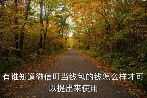 有誰知道微信叮當(dāng)錢包的錢怎么樣才可以提出來使用